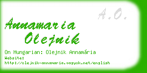 annamaria olejnik business card